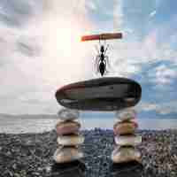 网‌站​监﻿控‍怎‌么﻿做﻿